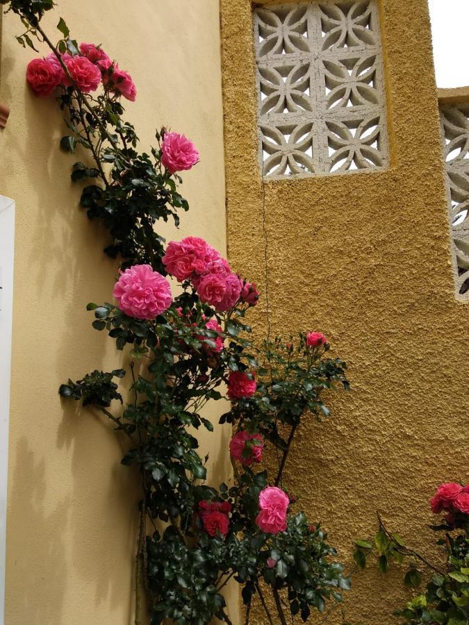 Villa Humboldt La Orotava Dış mekan fotoğraf